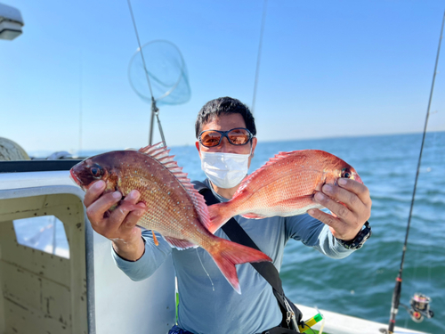 マダイの釣果