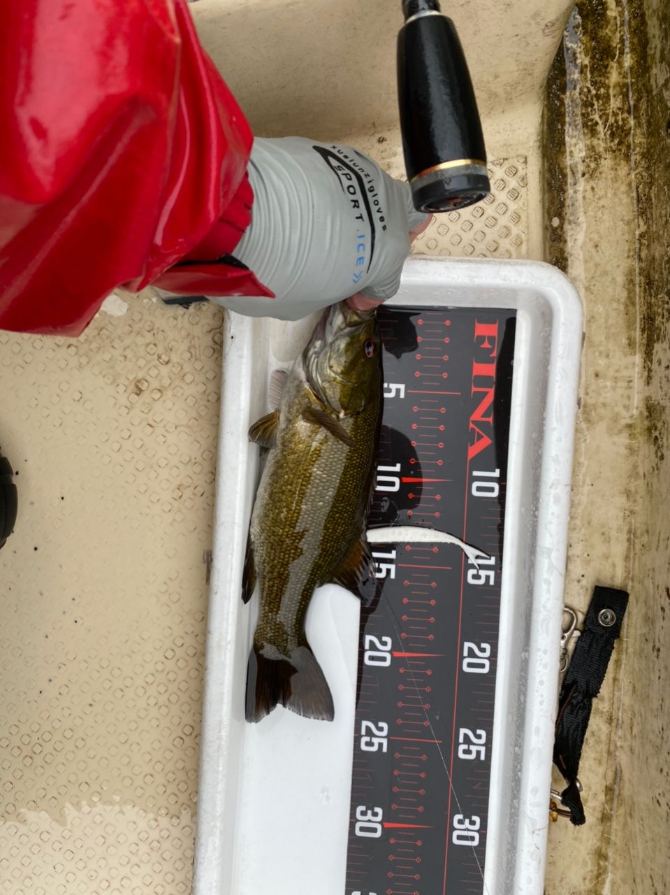 スモールマウスバス