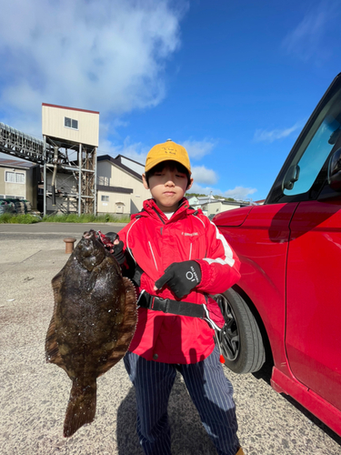 クロガシラガレイの釣果