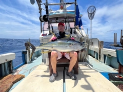 キハダマグロの釣果