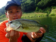 ブラックバスの釣果