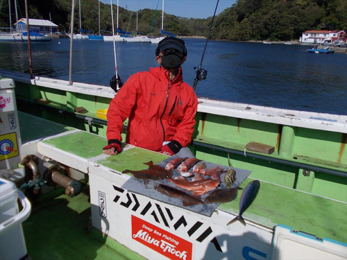 アマダイの釣果