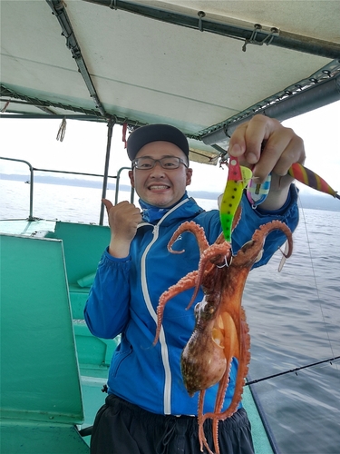 ハマチの釣果