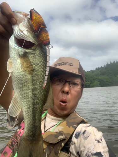 ブラックバスの釣果