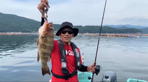 オオモンハタの釣果