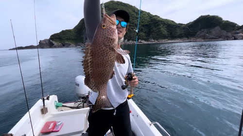 オオモンハタの釣果