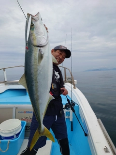 ブリの釣果