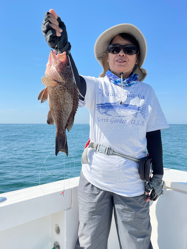 オオモンハタの釣果