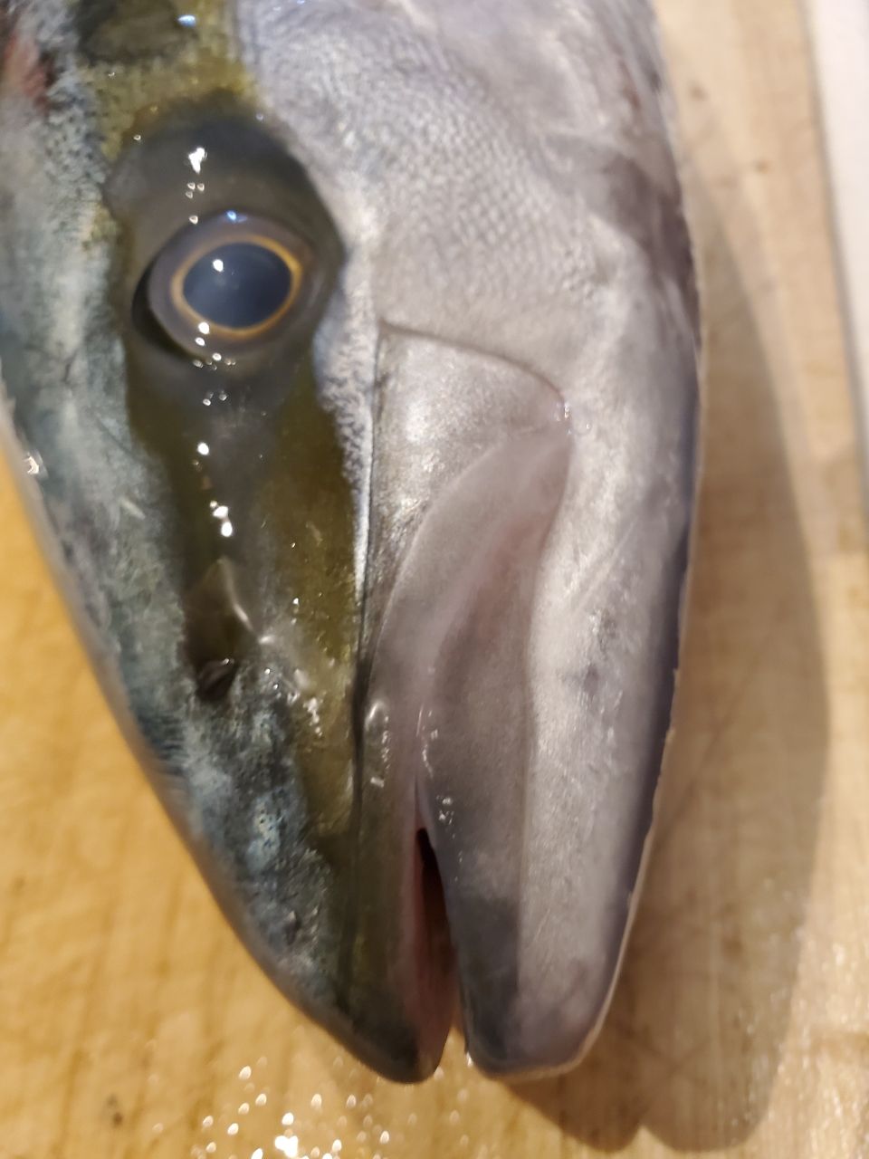 ハマチ