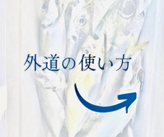 マアナゴの釣果