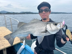 ヒラスズキの釣果