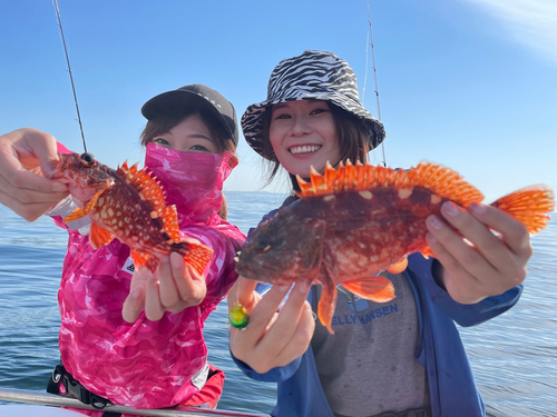 カサゴの釣果