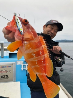 アカハタの釣果