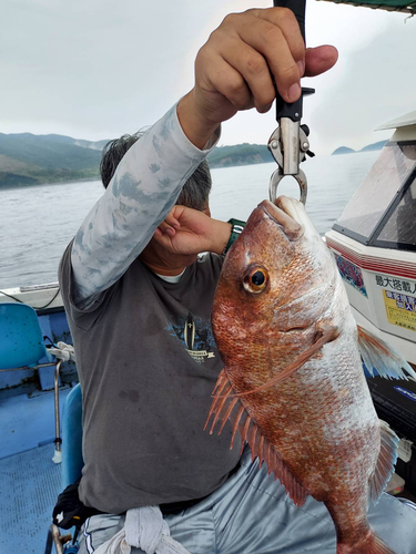 タイの釣果