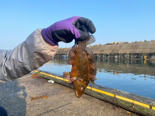 釣果