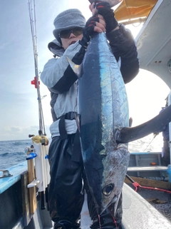 ビンチョウマグロの釣果