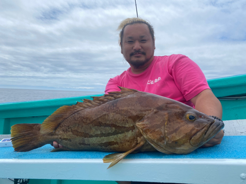 ホウキハタの釣果