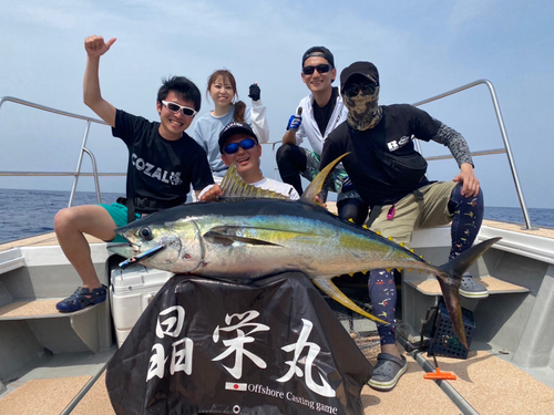 キハダマグロの釣果