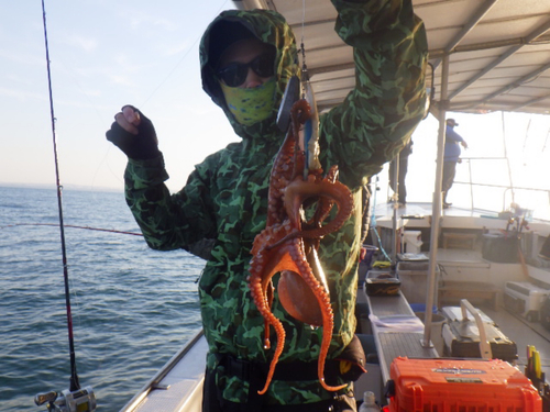 タコの釣果