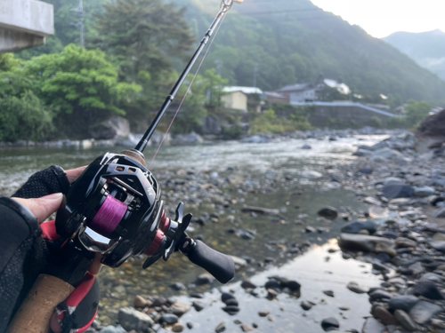 タケノコメバルの釣果