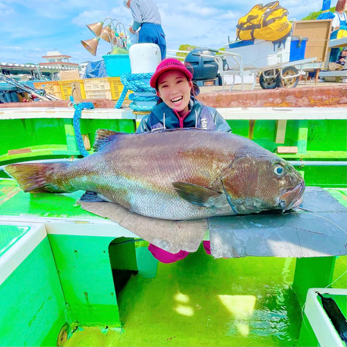 イシナギの釣果