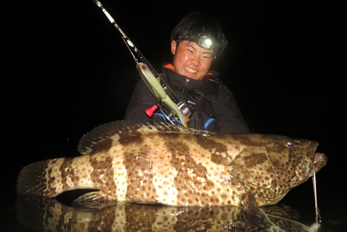 チャイロマルハタの釣果