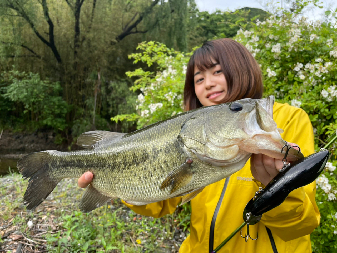 ブラックバス