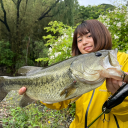 ブラックバス