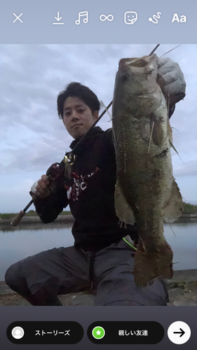 ブラックバスの釣果