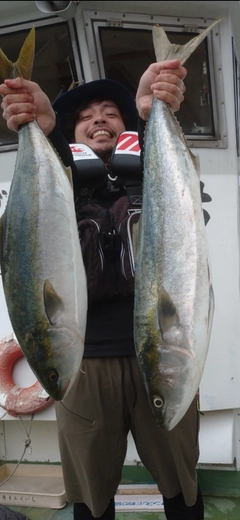 ブリの釣果
