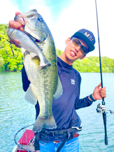 ブラックバスの釣果