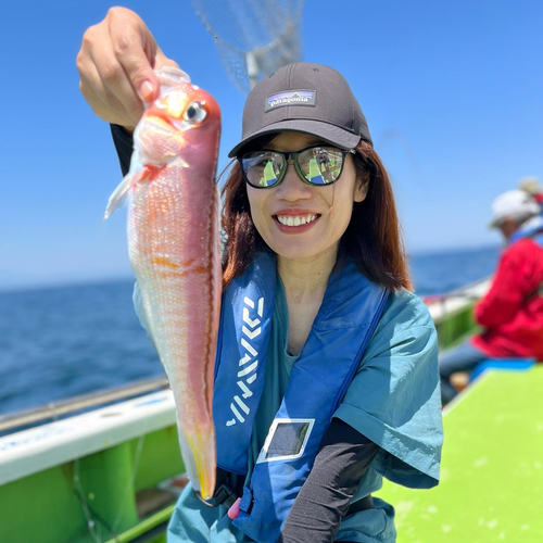 アマダイの釣果