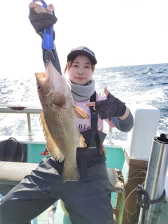 オオモンハタの釣果