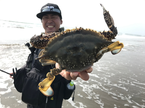 カニの釣果