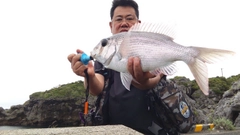 メイチダイの釣果