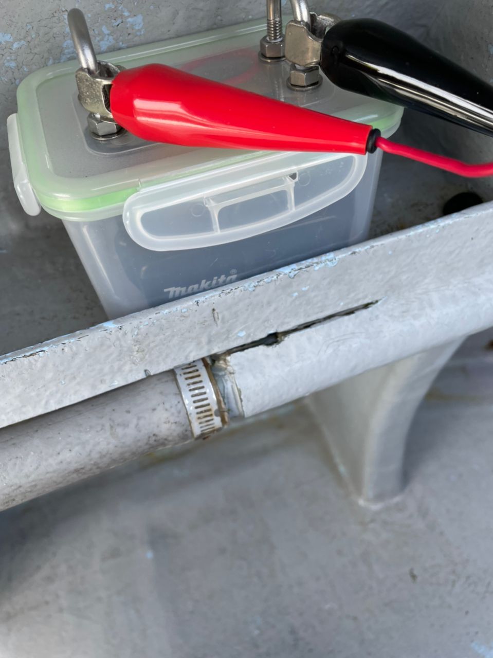 ぐーふぃさんの釣果 2枚目の画像