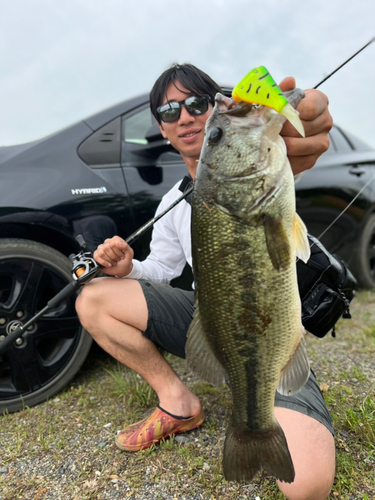 ブラックバスの釣果