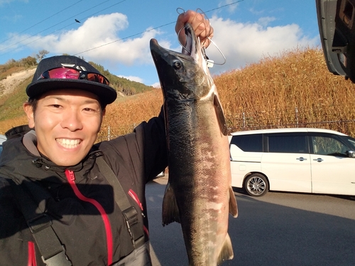 アキアジの釣果