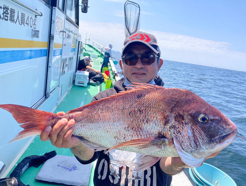 マダイの釣果