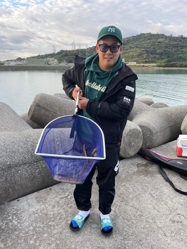 アナゴの釣果