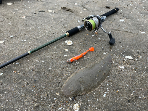 シタビラメの釣果