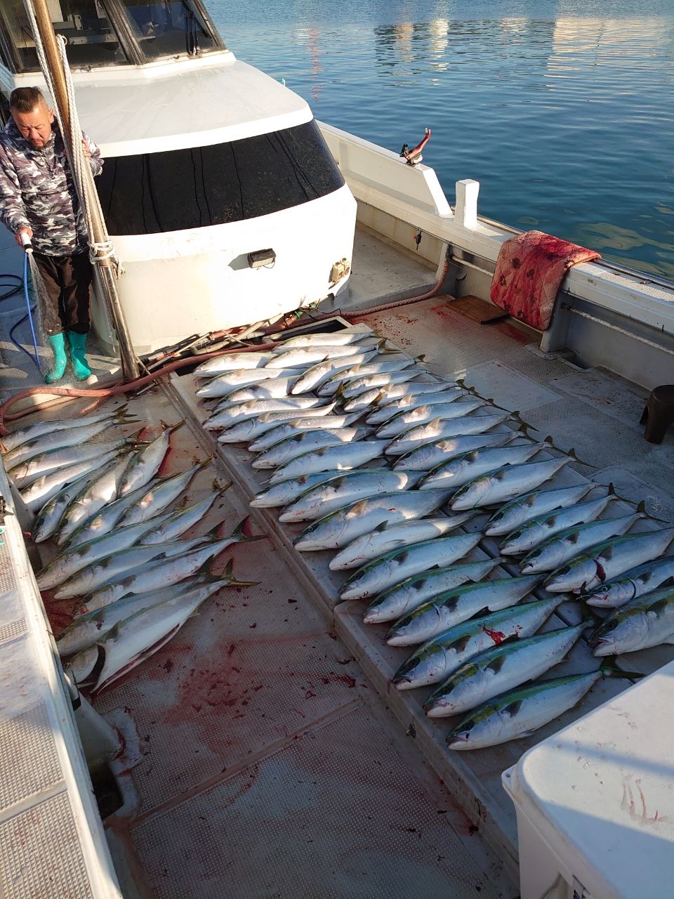 アングラー佐々木真吾さんの釣果 2枚目の画像