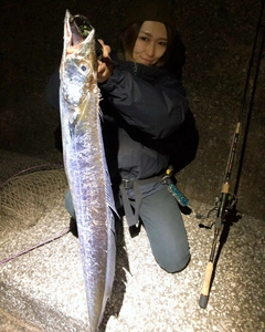 タチウオの釣果