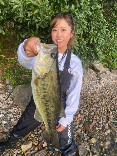 ブラックバスの釣果