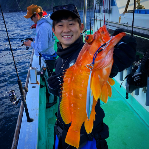 アカハタの釣果