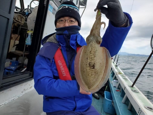 コウイカの釣果