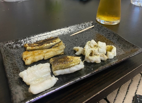 アナゴの釣果