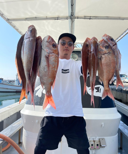 マダイの釣果