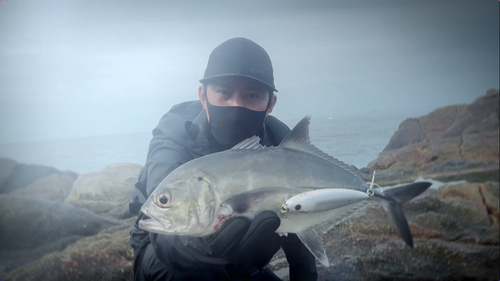 ギンガメアジの釣果