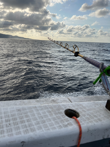 キンメダイの釣果